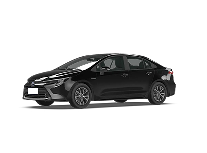 TOYOTA Ralink Hybrid